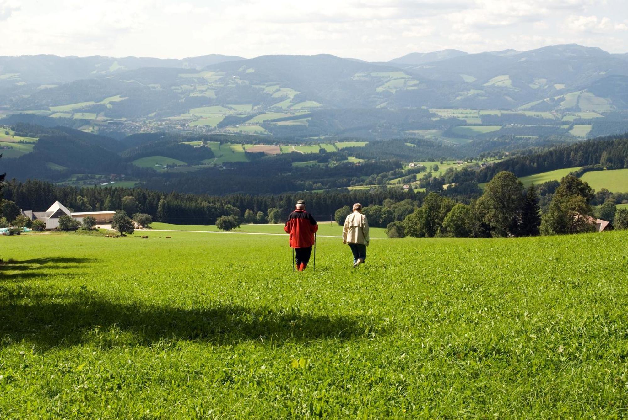 Wildwiesenhof Miesenbach  Exteriör bild