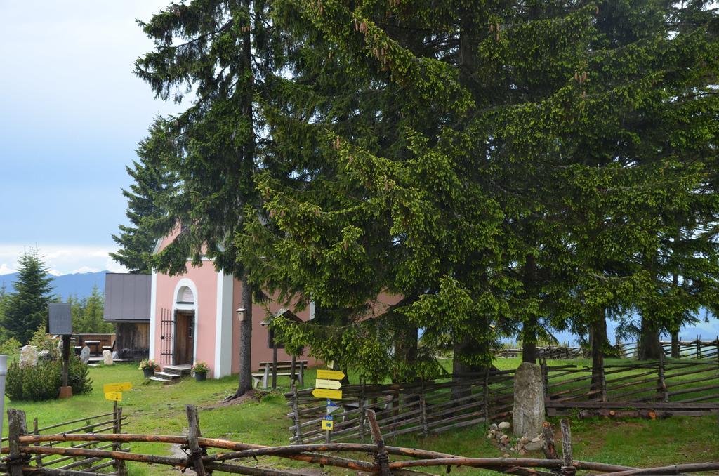 Wildwiesenhof Miesenbach  Exteriör bild