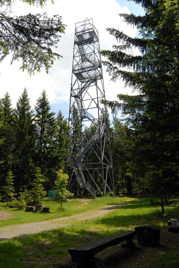Wildwiesenhof Miesenbach  Exteriör bild